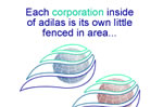 World and Corporation Analogy